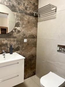 Mirabelka - domek في Podostrówek: حمام مع حوض ومرحاض ومرآة