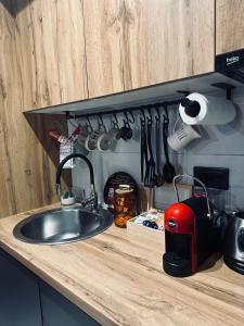 Η κουζίνα ή μικρή κουζίνα στο Apartman Viktorija