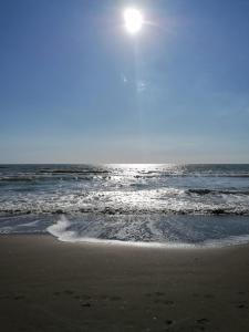 Φωτογραφία από το άλμπουμ του Perla di Mare chiaro σε LʼAmericano +14 φωτογραφίες