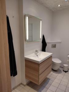 een badkamer met een wastafel en een toilet bij Apartment in green area in Grindsted