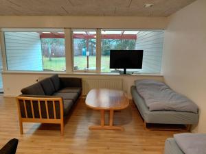 a living room with a couch and a tv at Apartment in green area in Grindsted