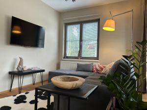 TV a/nebo společenská místnost v ubytování Trio Harrachov