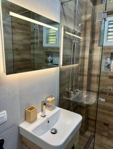 a bathroom with a sink and a glass shower at Red House Apartment in Kotor +31 photos