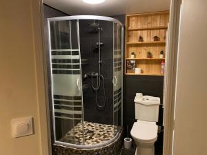 a bathroom with a shower with a toilet at L'atelier des couleurs in Vagney +15 photos