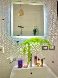 een badkamer met een spiegel en een wastafel met een plant erop bij القاهرة العبور الحي التاسع in Obour