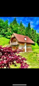 een huis met een rood dak in een veld met bloemen bij Chalet Corone Monte Zoncolan in Sùtrio