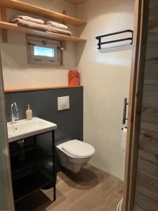 a bathroom with a white toilet and a sink at Het Houten Huis in Hierden