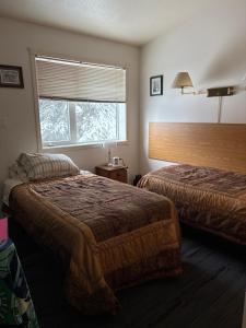 Billede fra billedgalleriet på Johnsons Crossing Lodge i Johnsons Crossing + 28 billeder