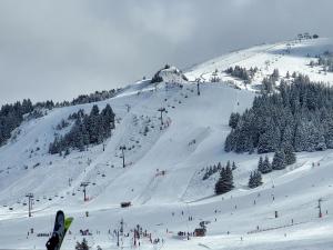 einen schneebedeckten Berg mit einer Skipiste in der Unterkunft Le Panoramic in Thollon + 3 Fotos