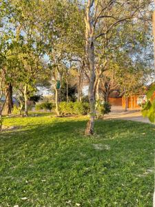 un parco con un albero nell'erba di Edsam Lodge a Divundu