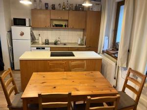 Η κουζίνα ή μικρή κουζίνα στο Apartmán Niky u Klínovce