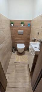 um banheiro com vaso sanitário e pia em Pension Martinské údolí em Kořenov