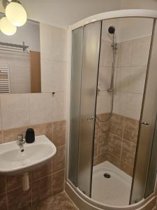 um banheiro com chuveiro e pia em Pod strechou Kysúc em Oščadnica mais 7 fotografias