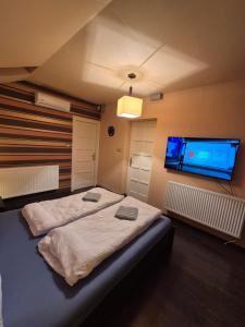 a bedroom with two beds and a flat screen tv at Gyékény Pihenő in Szarvas +9 photos