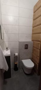a small bathroom with a toilet and a sink at Domek u Jurgowiana in Jurgów +23 photos