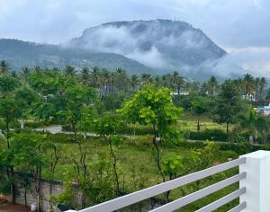 Příroda nedaleko prázdninového domu