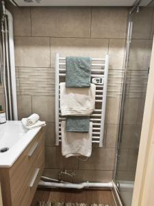 ein Badezimmer mit einer Dusche und Handtüchern auf einem Handtuchhalter in der Unterkunft Studio Stylisé Chalet in Rochejean