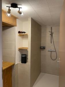 una ducha con puerta de cristal en un baño en L'atelier de l'horloger, 1 à 4 personnes, en Maîche