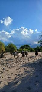 Động vật gần/tại căn hộ