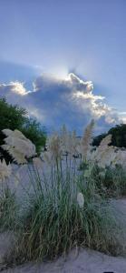 Phong cảnh thiên nhiên gần căn hộ