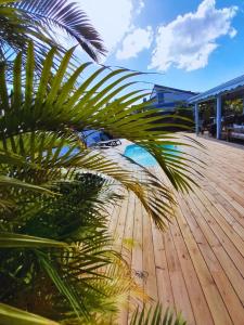 a palm tree sitting on top of a wooden deck at Villa La Kaz a Gwada in Port-Louis