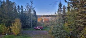 Un jardín fuera de Johnsons Crossing Lodge 28 fotos más