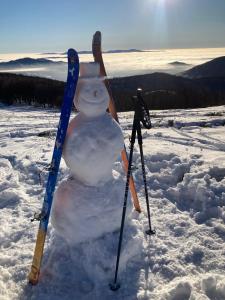 Błyszczowe Berce durante el invierno