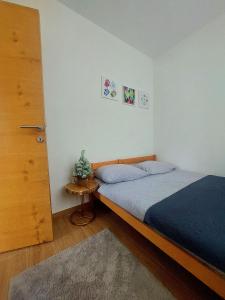 ein Schlafzimmer mit einem Bett mit einer blauen Bettdecke in der Unterkunft Bianca in Jahorina