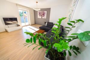 Posedenie v ubytovaní Apartment Marul