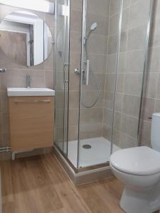 a bathroom with a shower with a toilet and a sink at Chez Fany et Ben in Cabourg