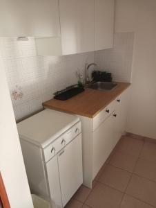 eine kleine Küche mit Spüle und Kühlschrank in der Unterkunft Casa Diana in Scalea + 1 Foto