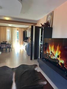 a living room with a fire in a fireplace at Ava Apartment Pamporovo in Pamporovo