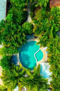 Πισίνα στο ή κοντά στο Selva Partners Tamarindo