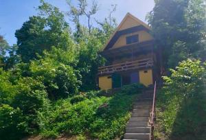 a house on a hill with stairs leading up to it at Dunavski vidikovac in Čerević