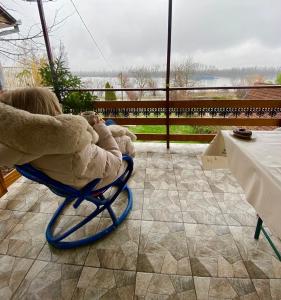 a child sitting in a chair with a teddy bear at Dunavski vidikovac in Čerević +12 photos