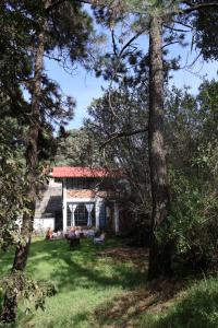 Zahrada ubytování Casa Xitle