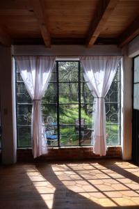 Zahrada ubytování Casa Xitle