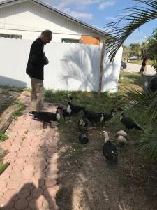 Сад в HolydayPalmBeachPoolHouse99fourPersonamin3 to5PersPartyPerBedroom