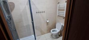 科尔别卢夫Domek Na Stoku的浴室配有马桶和玻璃淋浴房 更多45张照片