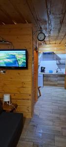 科尔别卢夫Domek Na Stoku的墙上设有大屏幕平面电视的房间