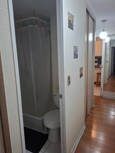 um banheiro com vaso sanitário e chuveiro em Amplio departamento viña centro em Viña del Mar