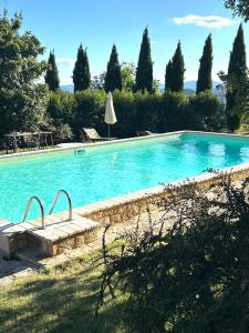 a large blue swimming pool with trees in the background at Il Borgo Del Lupo Relax Family Apartments in Tuscany with Restaurant & Swimming Pool in Sarteano