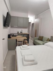 a kitchen and a living room with a bed and a couch at Parastaseis Central Studio Georges Sq in Patra