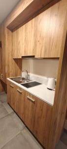 Kuchyň nebo kuchyňský kout v ubytování Apartament Czarna Góra Blue + 4 fotografie