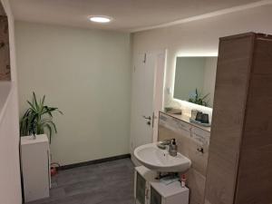 a bathroom with a sink and a mirror at Wolfs Studio in Blumberg