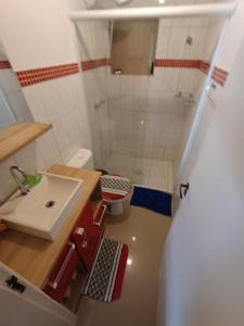 un piccolo bagno con lavandino e doccia di Sobrado em área tranquila a Caxias do Sul