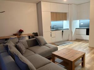 Η κουζίνα ή μικρή κουζίνα στο Riverside Vrchlabí