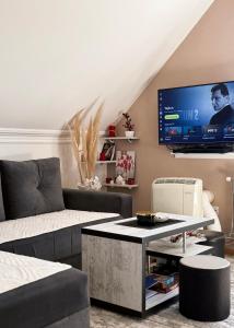 Μια τηλεόραση ή/και κέντρο ψυχαγωγίας στο Apartman Ilić