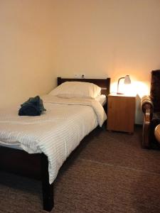 een slaapkamer met een bed en een nachtkastje met een lamp bij Hotel Sowa in Częstochowa