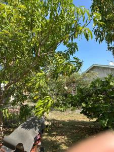 Φωτογραφία από το άλμπουμ του Claudette guest house στο Georgetown